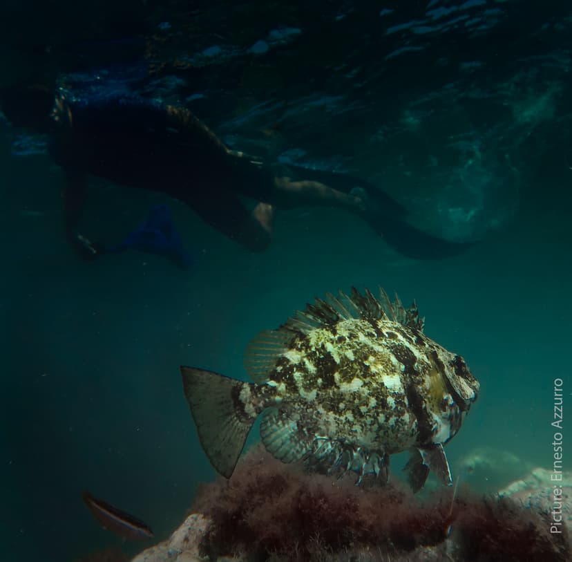 Image Sea 3
